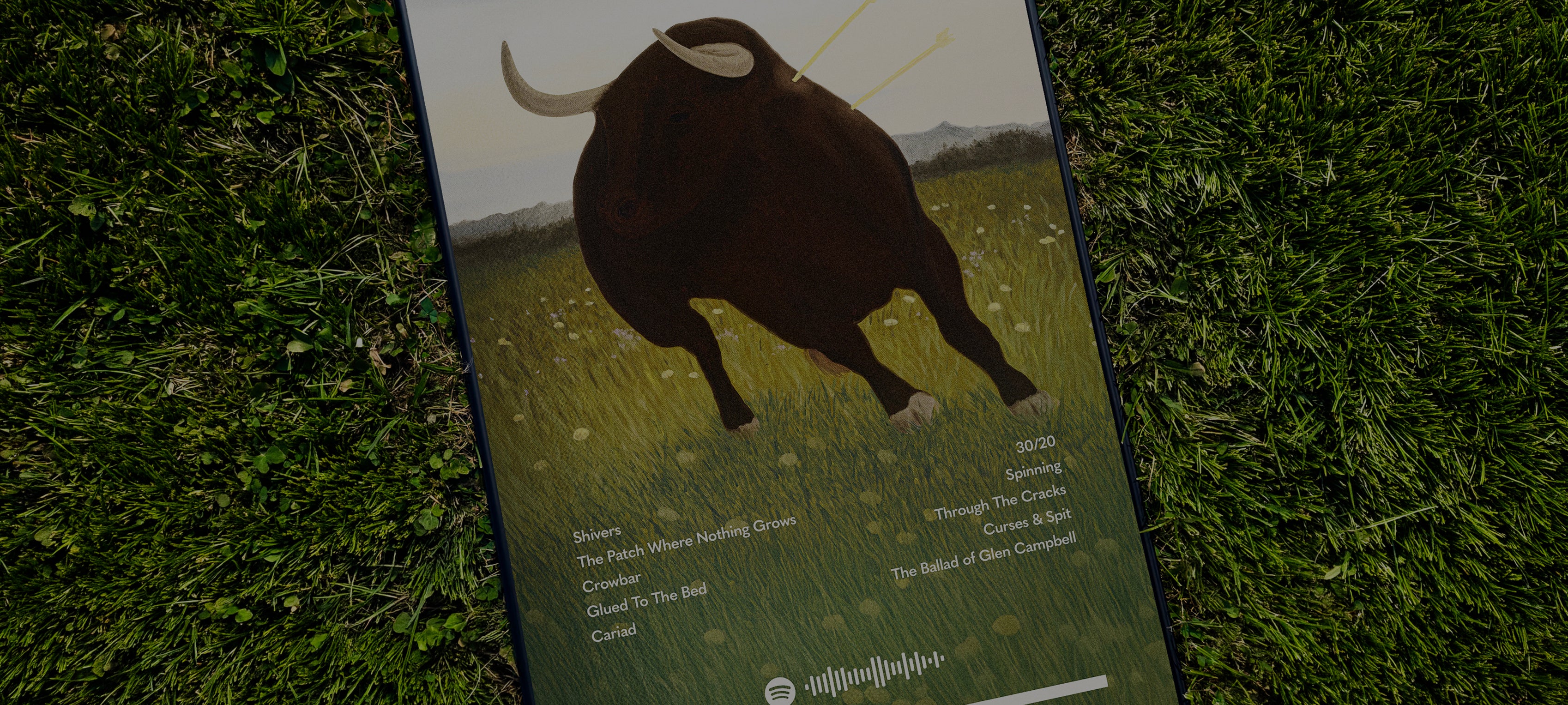 A printed poster or album-style print featuring a dark brown bull running through a grassy field, photographed lying on green grass outdoors.